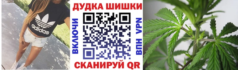 Как найти наркотики Кыштым Канабис  COCAIN  Галлюциногенные грибы  Мефедрон  Гашиш 
