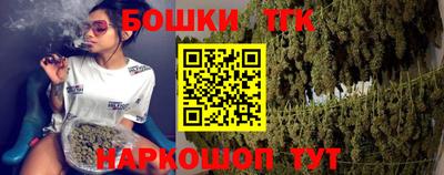 прущие грибы Кандалакша