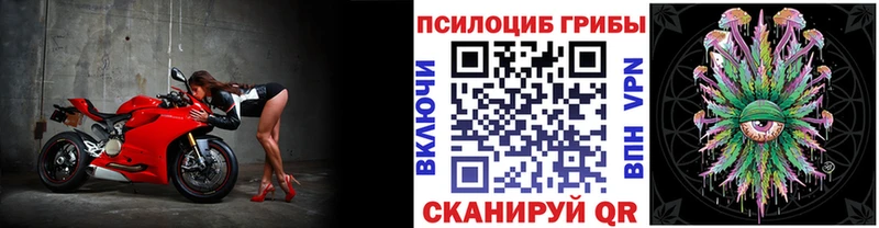 закладки  Кыштым  Галлюциногенные грибы прущие грибы 