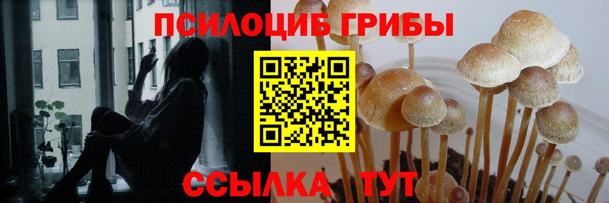 Псилоцибиновые грибы Magic Shrooms  Галлюциногенные грибы мицелий  Кыштым  Вход с VPN 